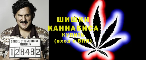 ПСИЛОЦИБИНОВЫЕ ГРИБЫ Абдулино