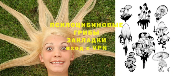 марихуана Абаза