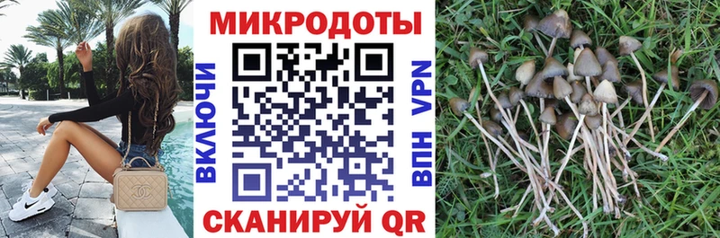 купить наркотики цена  Мещовск  omg tor  Псилоцибиновые грибы Cubensis 